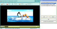 AnvSoft Web FLV Player screenshot